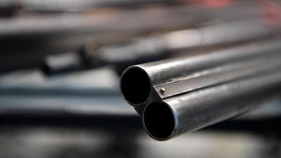 Ownership cutback triggers cross-border firearms flow