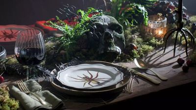 I didn't want to splurge hundreds of dollars on decorating for Halloween, and now I don't need to – I've just spotted some seriously chic tableware in the Terrain sale