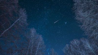 The Delta Aurigid meteor shower 2025 peaks tonight in the light of a waning gibbous moon