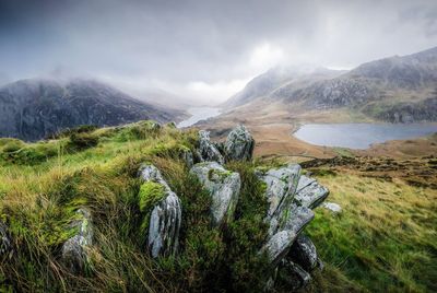 Ignore the rain, shoot the photo anyway!