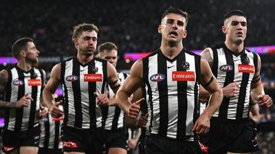 Daicos addresses trade rumours, Pies controversy