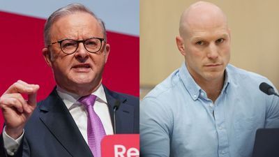 Anthony Albanese Responds To David Pocock’s Club Ban, Says Lobbying Claims Are ‘Absurd’