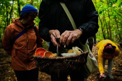 Mushroom hunting in Germany sees a revival thanks to veganism and medicinal fungi, in photos
