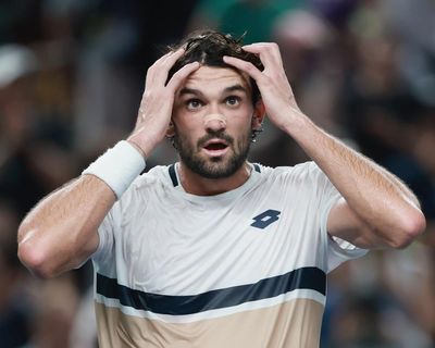 World No 204 Vacherot topples Djokovic to set up cousin v cousin Shanghai final