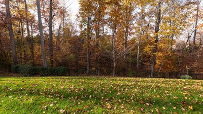 October is a crucial month for lawn care, but it's not one size fits all – the dos and don'ts according to your hardiness zone
