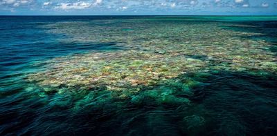 Since 2020, 4 of Australia’s natural World Heritage properties have deteriorated