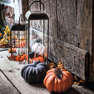 I’ve just found out my Halloween decor could cost me thousands in fines – how to make sure you don’t do the same