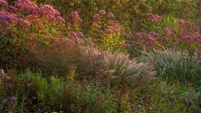 5 Design Tricks for Autumn Gardens to Make Sure They Look Amazing, Even When Your Best Planting Dies Back