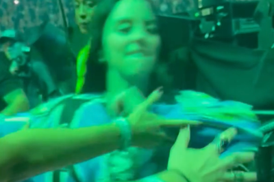 Moment Billie Eilish yanked as she greets fans at barricade