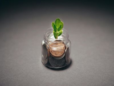 7 Eco-Friendly Products That Really Save Money Long Term