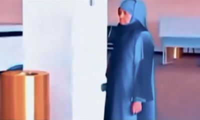 The Torenza Passport Woman: How a Fake Traveller Fooled Millions Online