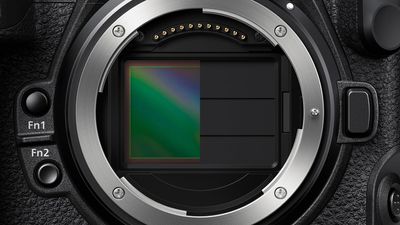 “My Nikon Z8’s sensor is filthy – I had no idea it had a sensor shield!” Here’s how to make sure yours is switched on