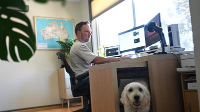 Reserve Bank to lay out reasons for not cutting rates