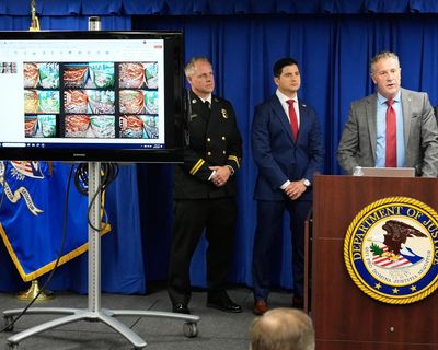 ‘Reckless’ behavior and dystopian AI: disturbing picture of suspect in Pacific Palisades fire emerges