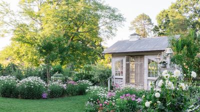 The Potting Shed: How a Photographer's Love of Slow Storytelling Transformed a Salvaged Barn into a Flower Garden Sanctuary