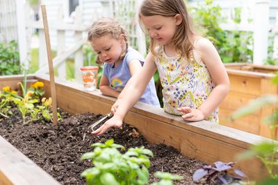 Why Raised Beds Hold Warmth Longer Than Ground Soil