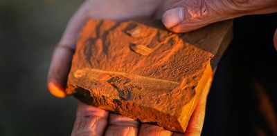 Unusual red rocks in Australia are rewriting the rules on exceptional fossil sites