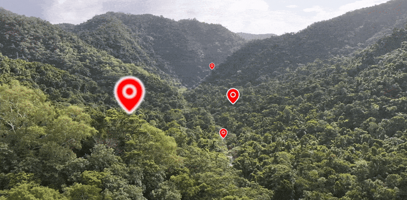 The Instagram effect: dying for the perfect photo