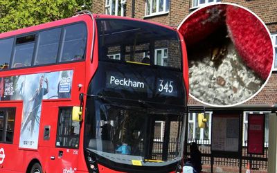 London buses are infested with cockroaches say drivers - as worst-affected routes 'revealed'