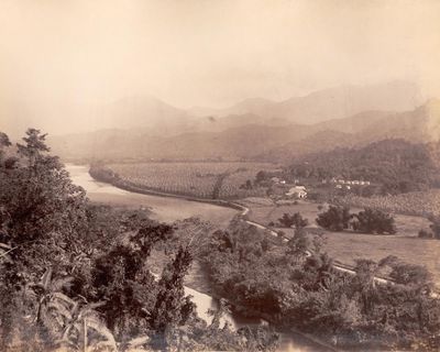 Poem of the week: My Mother by Claude McKay