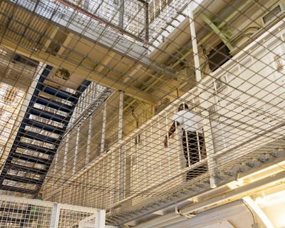 Education cuts in prisons ultimately endanger the public, watchdog says