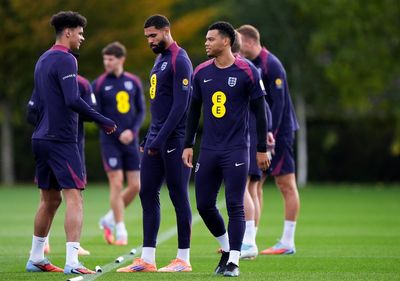 Tottenham striker trains with Harry Kane after surprise England call