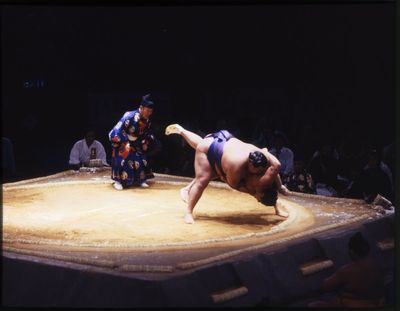 Sumo wrestling fans at Royal Albert Hall warned - don't get squashed