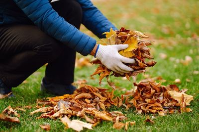 10 Ways Fallen Leaves Feed Your Soil