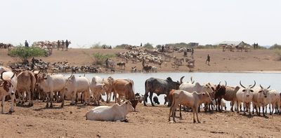 West Africa’s trade monitoring system has collapsed - why this is dangerous for food security