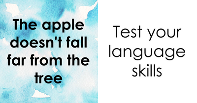 Only True Language Lovers Will Decode All 30 Of These Sayings And Proverbs