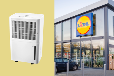 This affordable dehumidifier from Lidl can also dry clothes