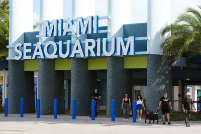 The cherished and controversial Miami Seaquarium closes its doors