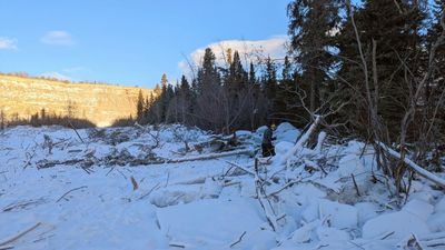An 'ice tsunami' in 2024 ripped through the Yukon with such force it tore up trees and the riverbed
