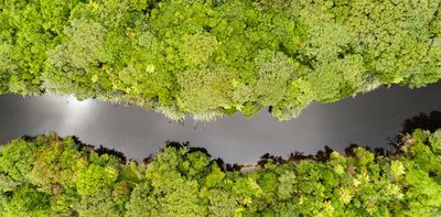 Reform of NZ’s protected lands is overdue – but the public should decide about economic activities