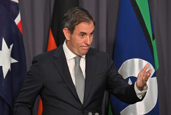 Ley calls for parliament to investigate Thorpe over ‘incendiary behaviour’ at protest – as it happened