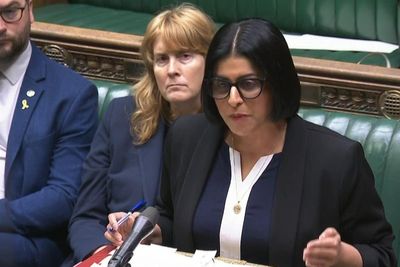 Cracking down on repeat protest means ‘giving succour to haters’ – MP