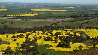 Farmland value in reverse as economy tightens