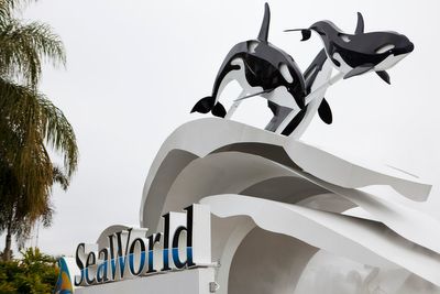Tourist sues SeaWorld’s parent company for ‘bait-and-switch’ in hidden ticket prices