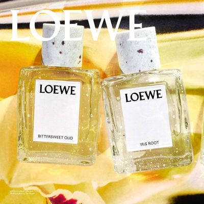 Loewe’s Crafted Collection Has Me Questioning Everything I Knew About Fall Fragrance Trends
