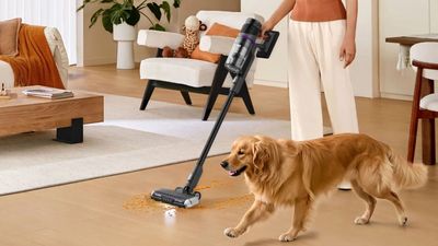 I tested the Eureka ReactiSense 440 cordless vacuum, and it has everything you need except for one thing that let it down