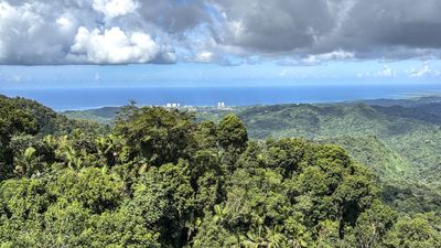 I'm a security editor and here's how I stopped a phishing attempt 1,900 miles away from home