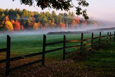 Leaf-peeping season has arrived. But this year’s showing may disappoint
