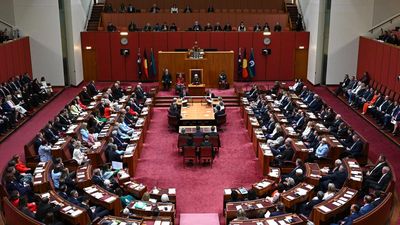 Senators urged to flex muscles to stop Labor inaction