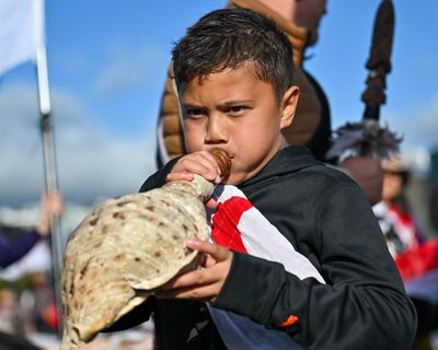 Guaranteed Māori seats on New Zealand councils to be slashed by more than half
