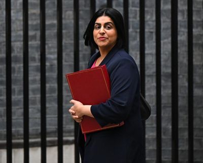 Human rights official urges UK to review laws after Palestine Action placard arrests