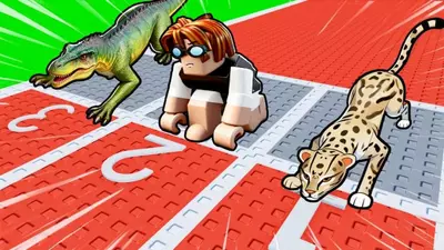 Animal Training codes (October 2025)