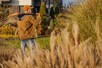 8 Ornamental Grasses That Peak in Fall
