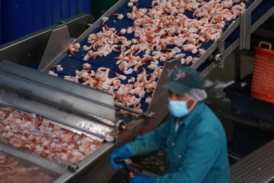 State urges residents to check freezers for radioactive shrimp after damning investigation into Indonesian farm