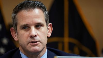 ‘To all who support’: Adam Kinzinger tears into GOP and Trump in savage callout