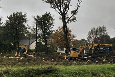 Restaurant owners apologise for chopping down 80 trees after backlash